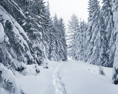 L'art de bien vivre l'hiver !