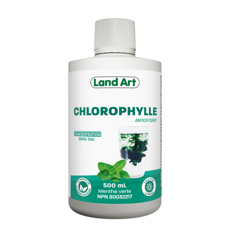 LAND ART CHLOROPHYLLE MENTHE