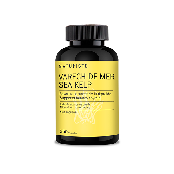 SEA KELP