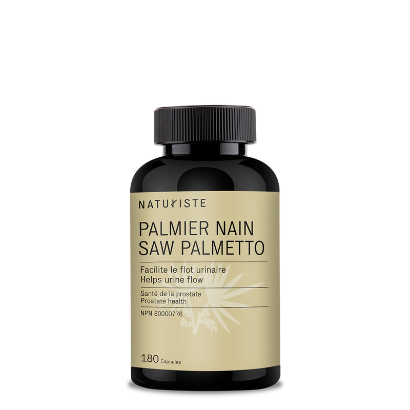 SAW PALMETTO