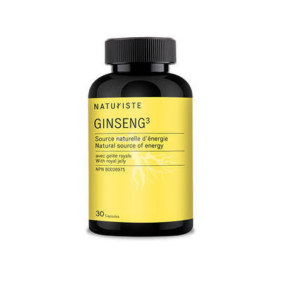 GINSENG 3