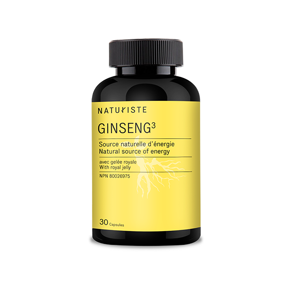 GINSENG 3