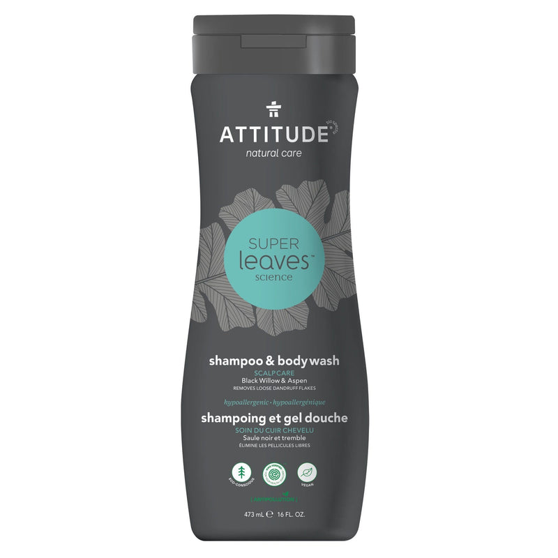 ATTITUDE 2IN1 SCALP CARE SHAMPOO FOR MEN