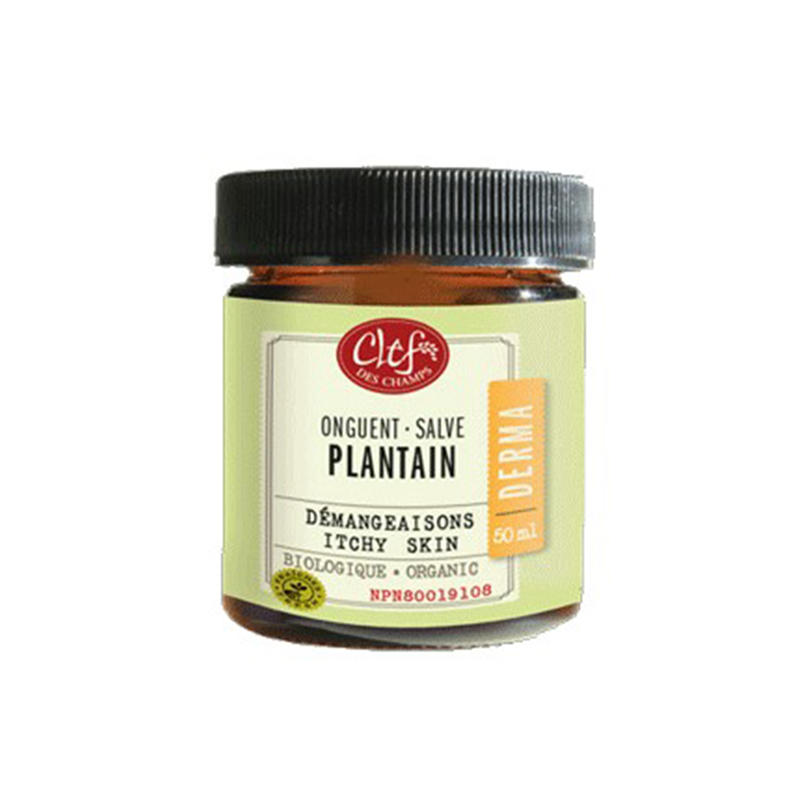 CLEF DES CHAMPS ONGUENT PLANTAIN DEMANGEAISON 50ml