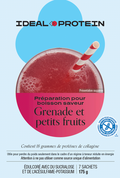 PRÉPARATION BOISSON À SAVEUR DE GRENADE & PETITS FRUITS