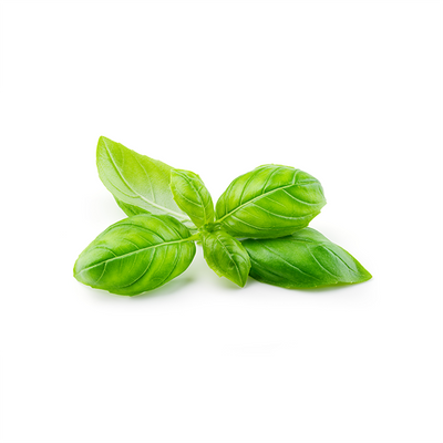 BASIL