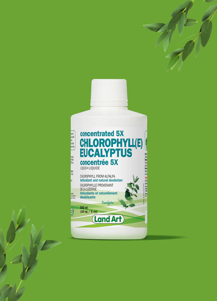 LAND ART CHLOROPHYLLE LIQUIDE 5X CONCENTRÉE EUCALYPTUS