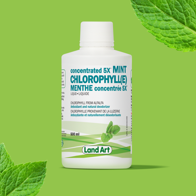 LAND ART CHLOROPHYLLE CONCENTREE 5X MENTHE