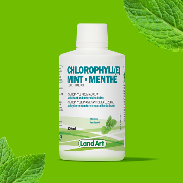 LAND ART CHLOROPHYLLE MENTHE