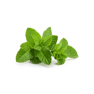 SPEARMINT